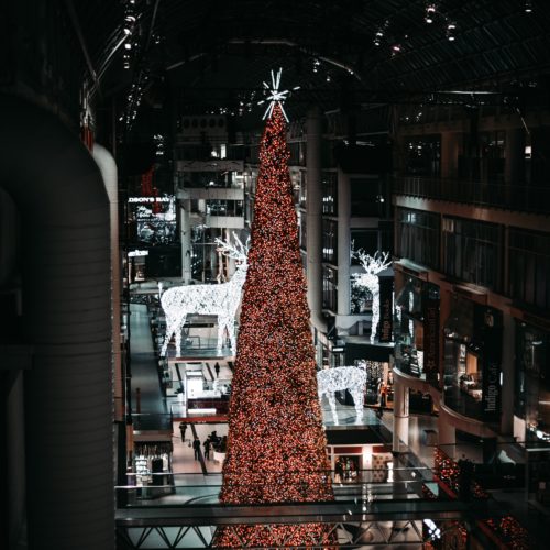 anthony-garcia-1239400-unsplash